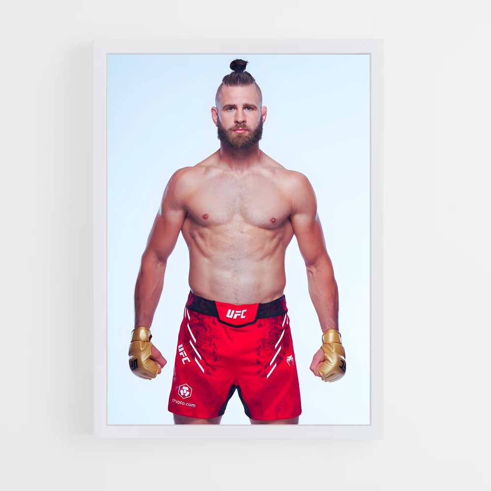 Poster Fight Night Prochazka – affiche MMA (vue 3)